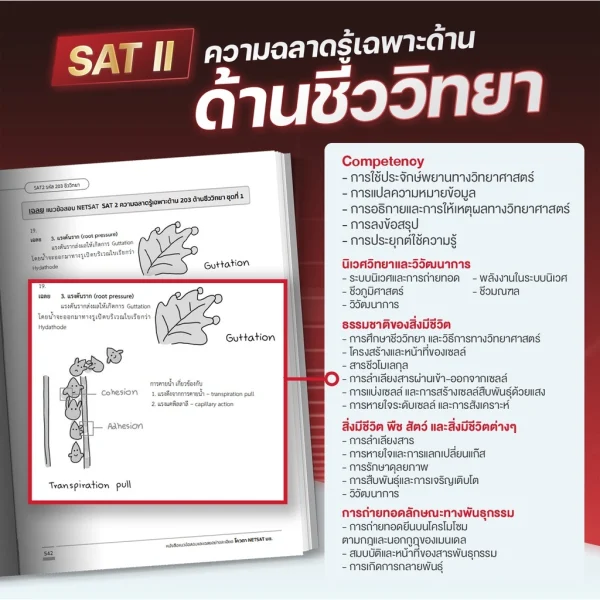 หนังสือสรุปเนื้อหา-netsat-ด้านชีววิทยา